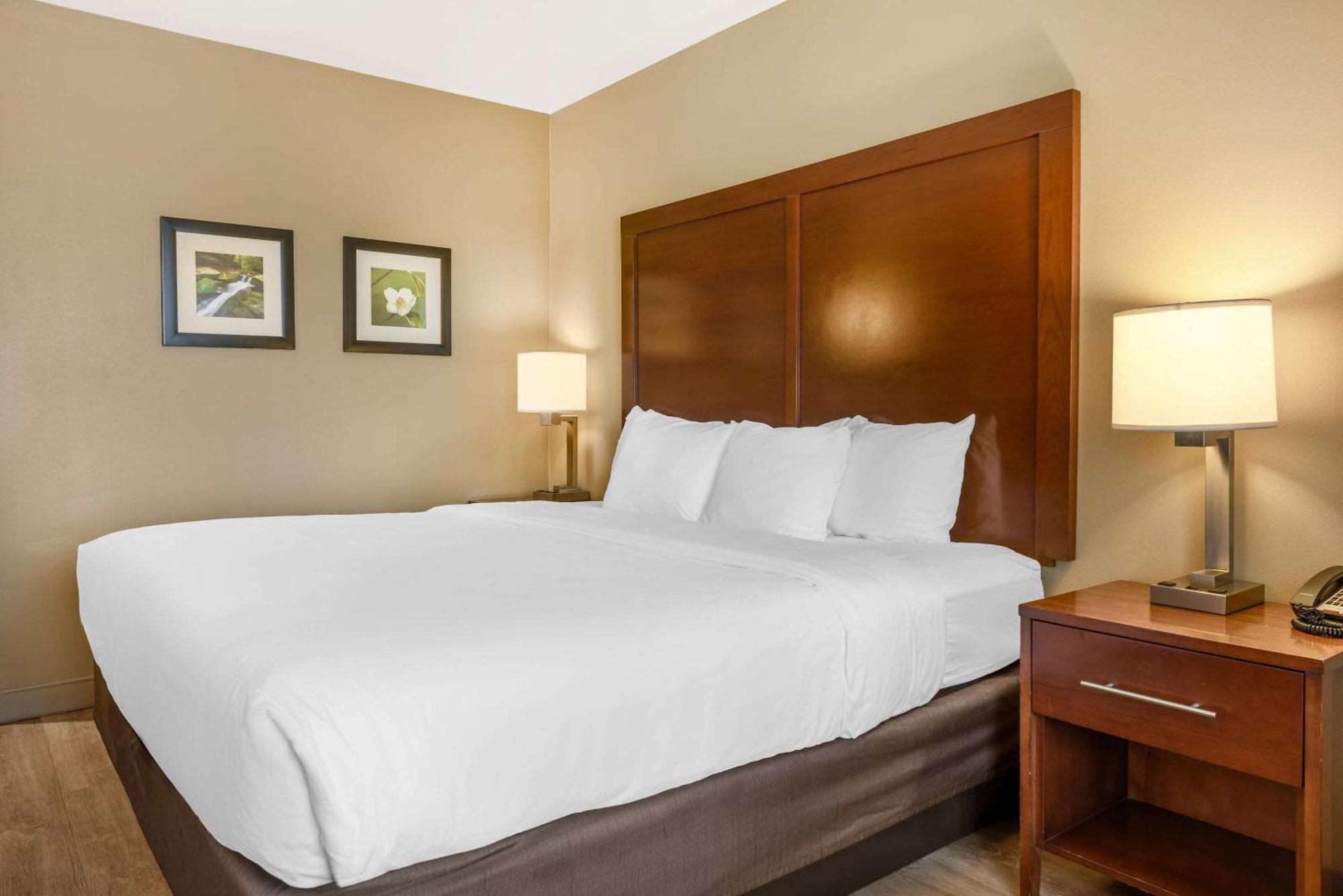Comfort Inn & Suites At Crossplex Village Birmingham Buitenkant foto