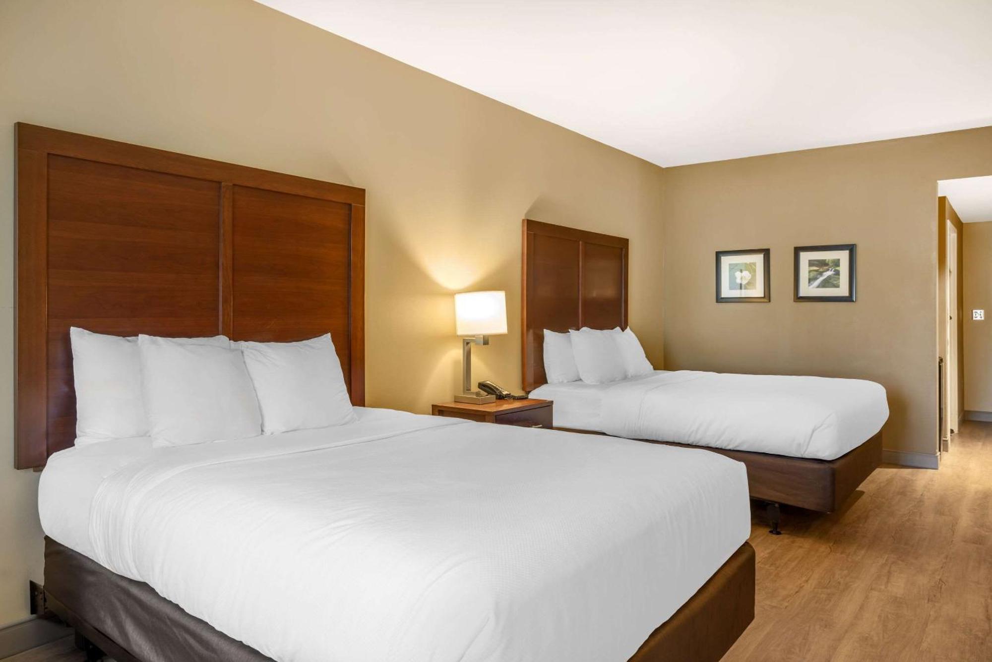 Comfort Inn & Suites At Crossplex Village Birmingham Buitenkant foto